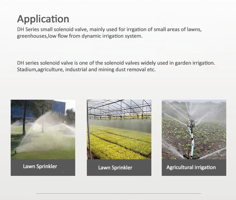 1-1/4"  1-1/2" Normally Closed Solenoid Valve With Flow Adjustment 220V 12V 24V For Farm Garden Landscape Irrigation