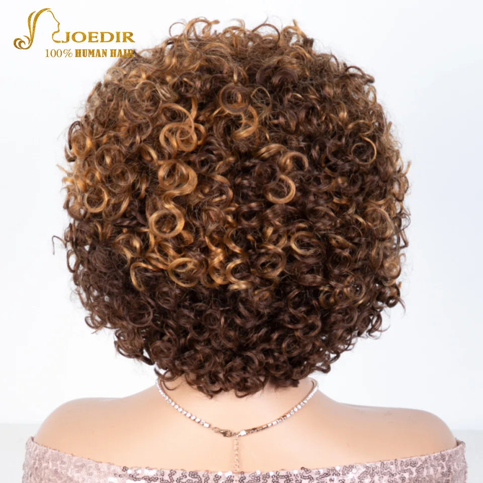 Joedir Black Short Afro Kinky Curly Bob 100% Human Hair Wig For Women Brazilian Remy Hair Full Machine Made Wear to go Daily Wig