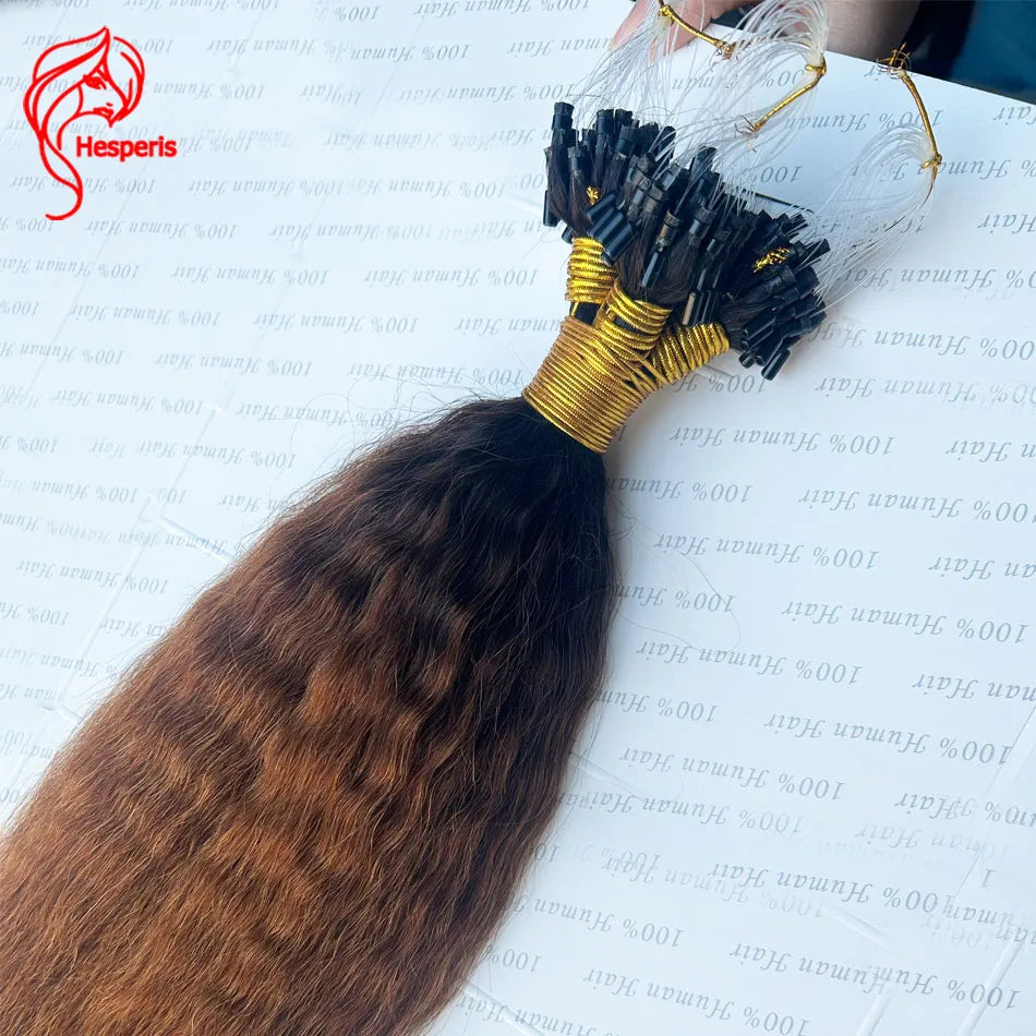 Hesperis 100 Strands/Pack Kinky Straight Micro Loop Hair Extensions For Black Women Human Hair Ombre Microlinks Hair Extensions