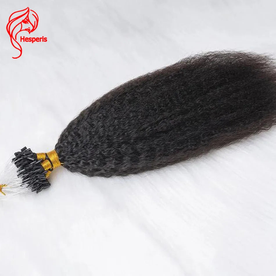 Hesperis 100 Strands/Pack Kinky Straight Micro Loop Hair Extensions For Black Women Human Hair Ombre Microlinks Hair Extensions