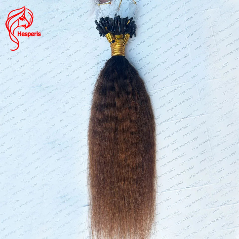 Hesperis 100 Strands/Pack Kinky Straight Micro Loop Hair Extensions For Black Women Human Hair Ombre Microlinks Hair Extensions