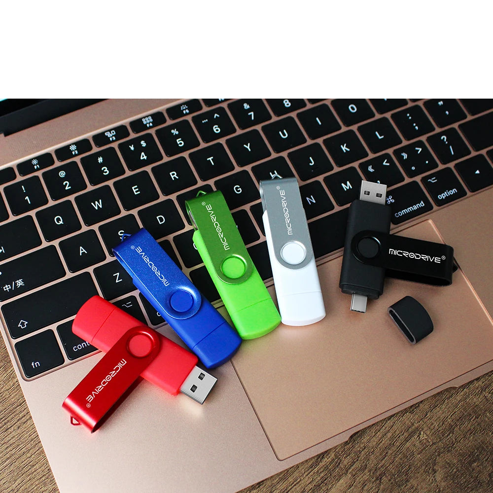 2 in 1 OTG Usb flash drive 256G 128GB 64GB Pendrive 32GB 16GB memory Stick 8GB 4GB Pendrive cle usb 2.0 key with Type C Adapter