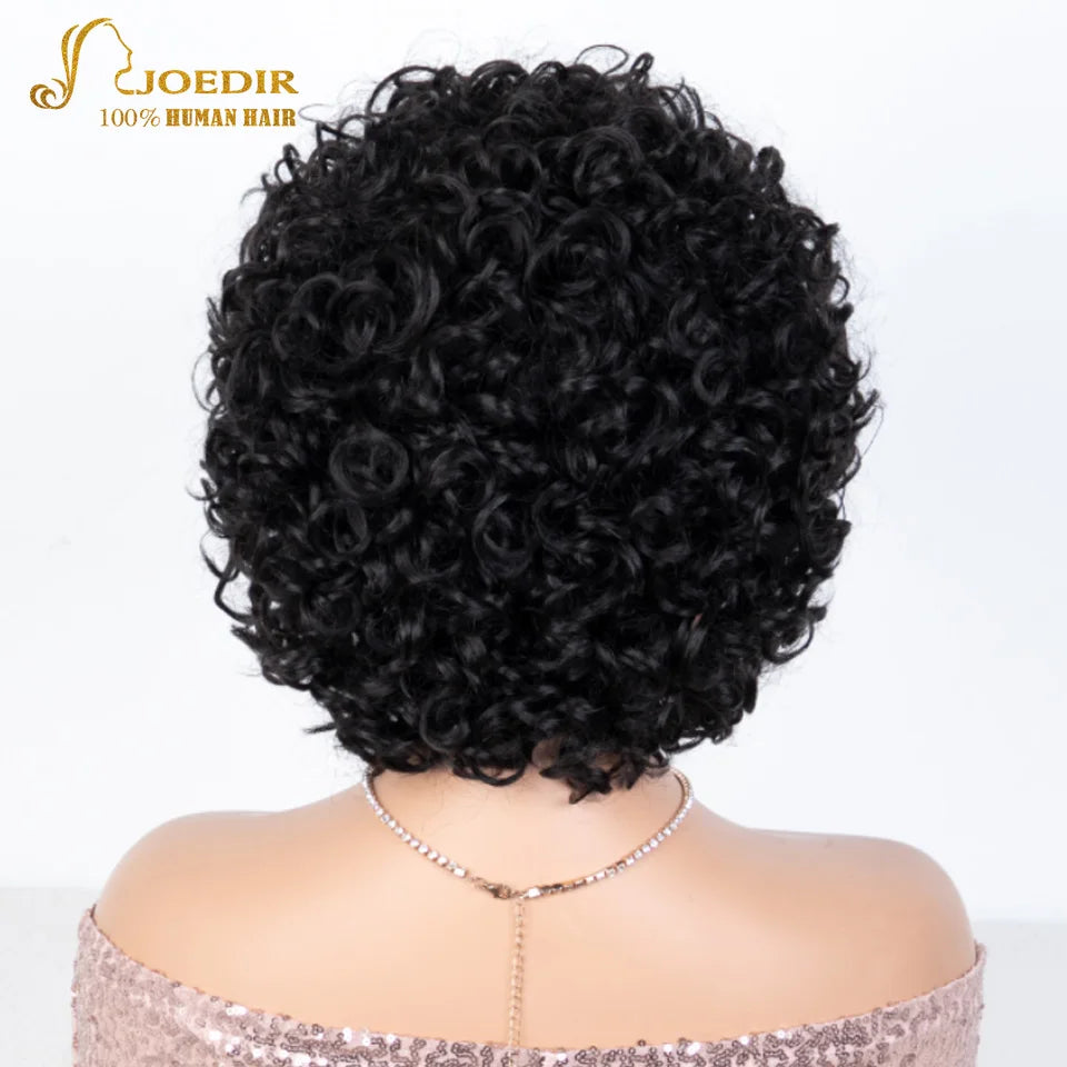 Joedir Black Short Afro Kinky Curly Bob 100% Human Hair Wig For Women Brazilian Remy Hair Full Machine Made Wear to go Daily Wig