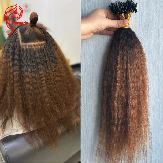 Hesperis 100 Strands/Pack Kinky Straight Micro Loop Hair Extensions For Black Women Human Hair Ombre Microlinks Hair Extensions
