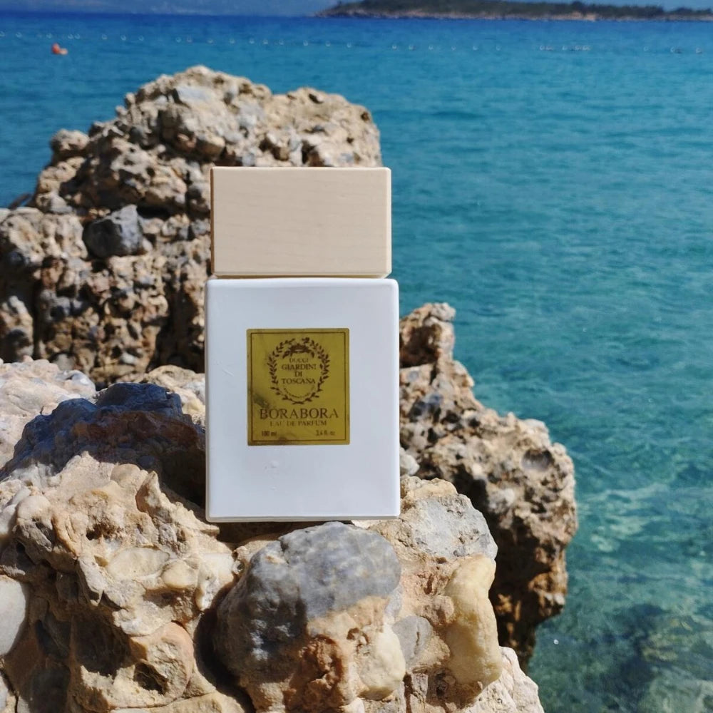 100ml Unisex Eau De Parfum Collection – Long Lasting Niche Fragrance with Citrus Woody Oriental & Vanilla Aromatic Scents