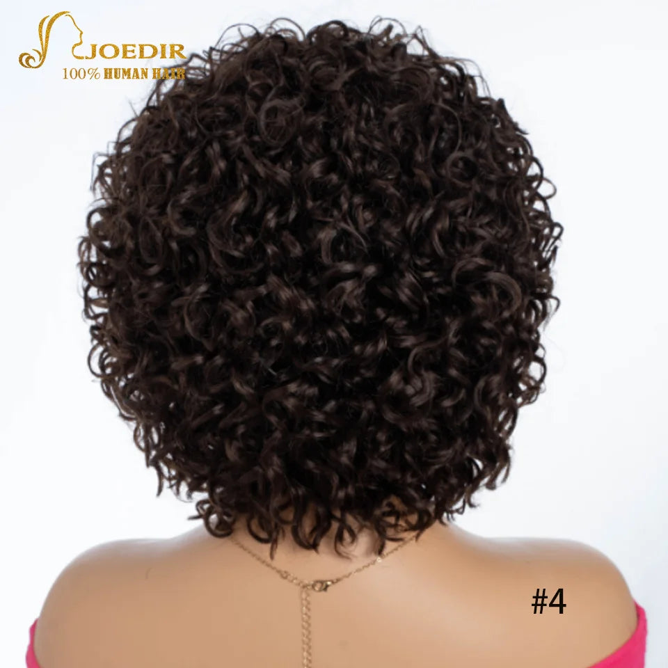 Joedir Black Short Afro Kinky Curly Bob 100% Human Hair Wig For Women Brazilian Remy Hair Full Machine Made Wear to go Daily Wig